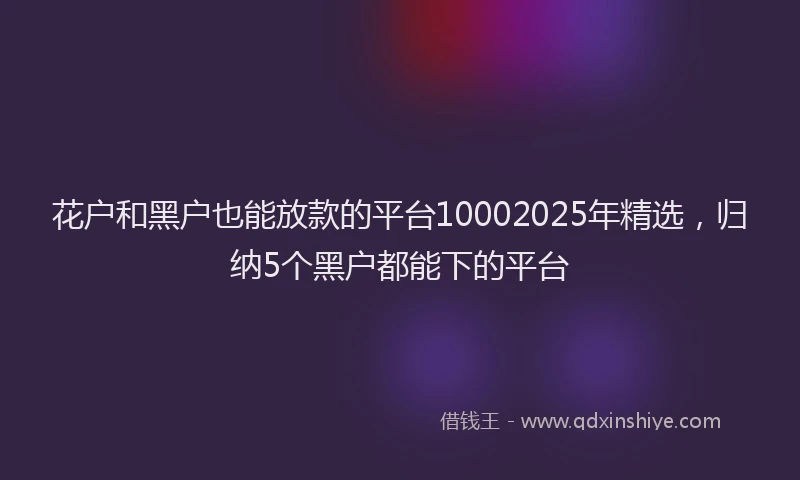 花户和黑户也能放款的平台10002025年精选，归纳5个黑户都能下的平台