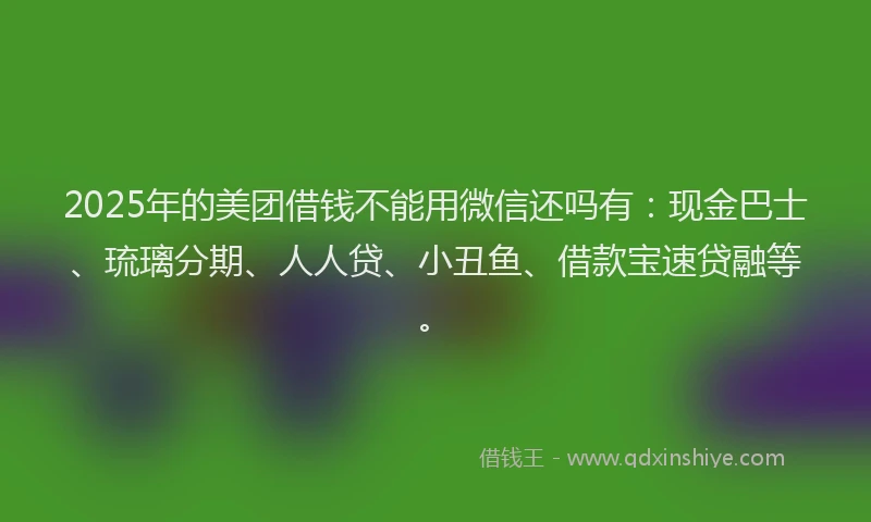 2025年的美团借钱不能用微信还吗有：现金巴士、琉璃分期、人人贷、小丑鱼、借款宝速贷融等。