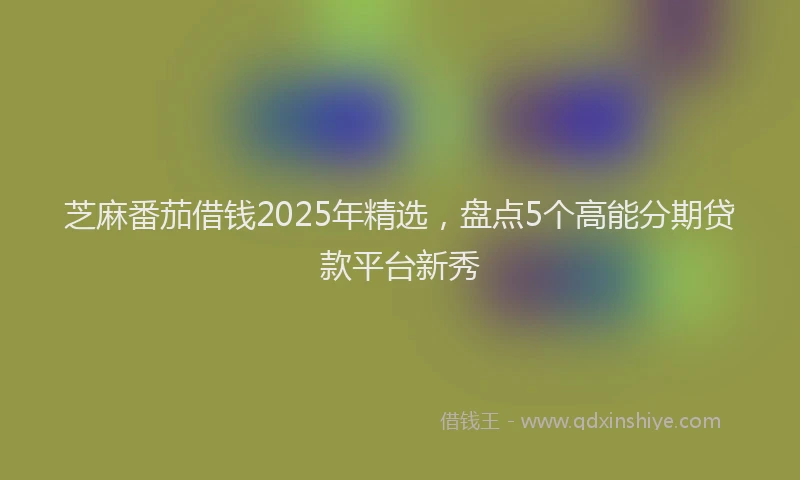 芝麻番茄借钱2025年精选，盘点5个高能分期贷款平台新秀