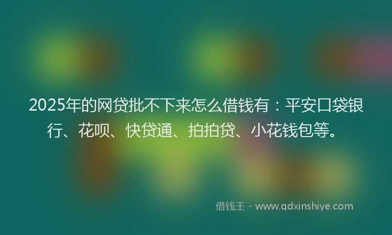 2025年的网贷批不下来怎么借钱有：平安口袋银行、花呗、快贷通、拍拍贷、小花钱包等。