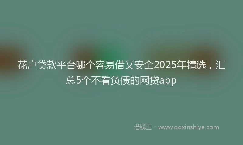 花户贷款平台哪个容易借又安全2025年精选，汇总5个不看负债的网贷app