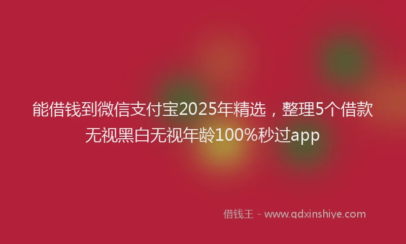 能借钱到微信支付宝2025年精选，整理5个借款无视黑白无视年龄100%秒过app