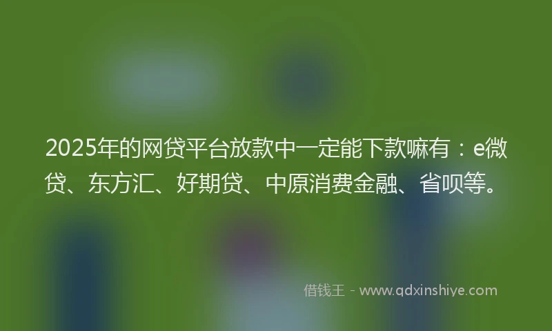 2025年的网贷平台放款中一定能下款嘛有：e微贷、东方汇、好期贷、中原消费金融、省呗等。