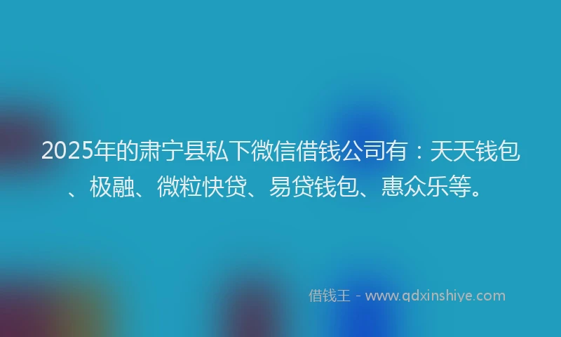 2025年的肃宁县私下微信借钱公司有：天天钱包、极融、微粒快贷、易贷钱包、惠众乐等。
