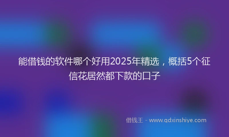 能借钱的软件哪个好用2025年精选，概括5个征信花居然都下款的口子