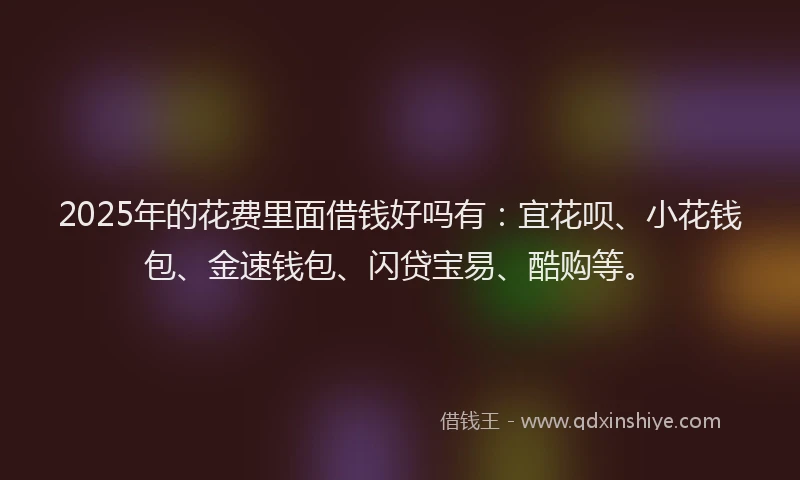 2025年的花费里面借钱好吗有：宜花呗、小花钱包、金速钱包、闪贷宝易、酷购等。