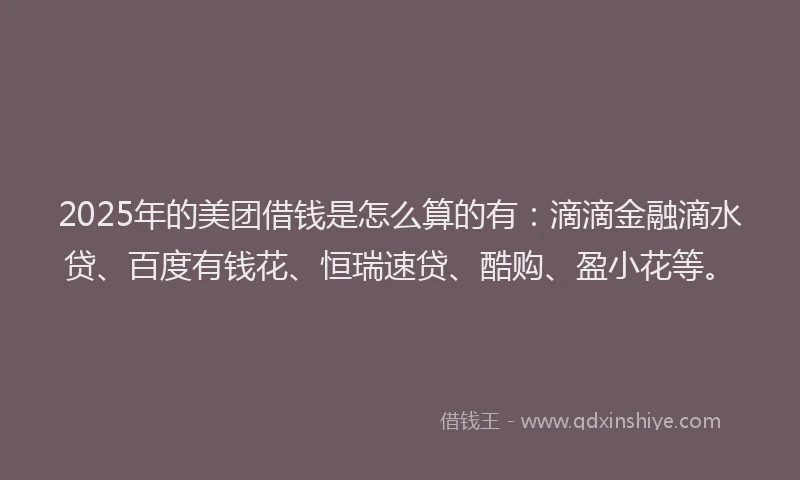 2025年的美团借钱是怎么算的有：滴滴金融滴水贷、百度有钱花、恒瑞速贷、酷购、盈小花等。