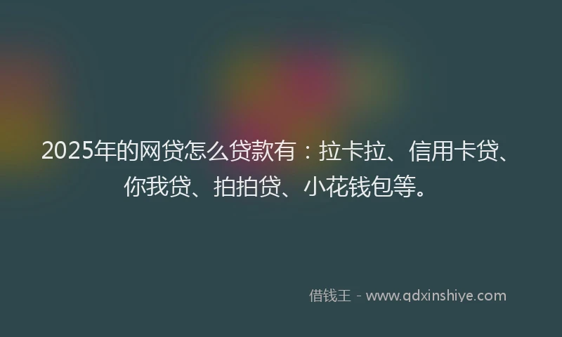 2025年的网贷怎么贷款有：拉卡拉、信用卡贷、你我贷、拍拍贷、小花钱包等。