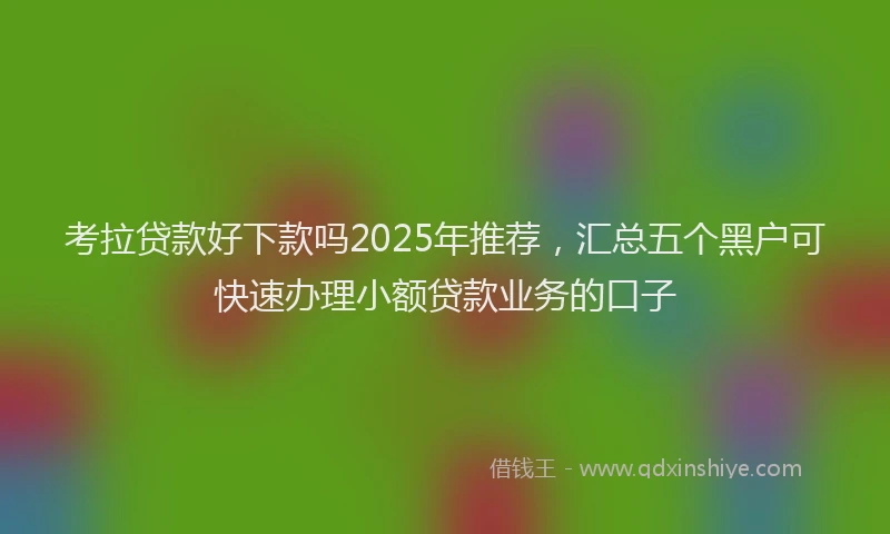 考拉贷款好下款吗2025年推荐，汇总五个黑户可快速办理小额贷款业务的口子