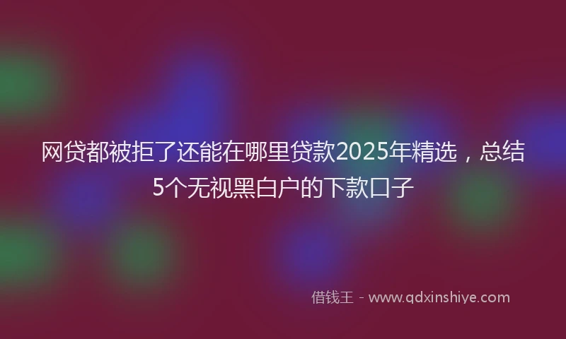 网贷都被拒了还能在哪里贷款2025年精选，总结5个无视黑白户的下款口子