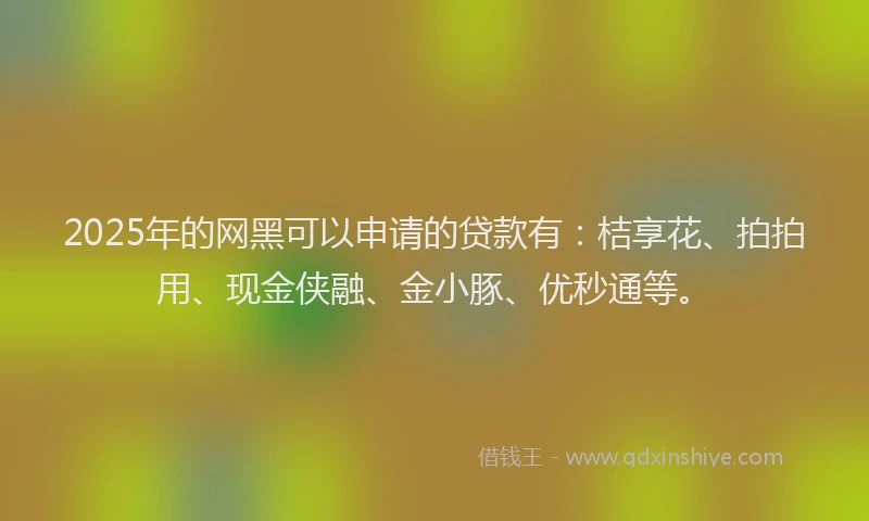 2025年的网黑可以申请的贷款有：桔享花、拍拍用、现金侠融、金小豚、优秒通等。