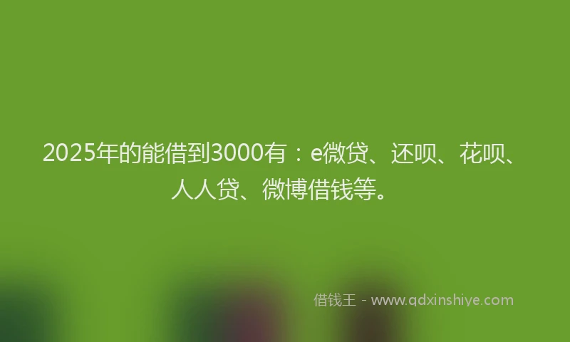 2025年的能借到3000有：e微贷、还呗、花呗、人人贷、微博借钱等。