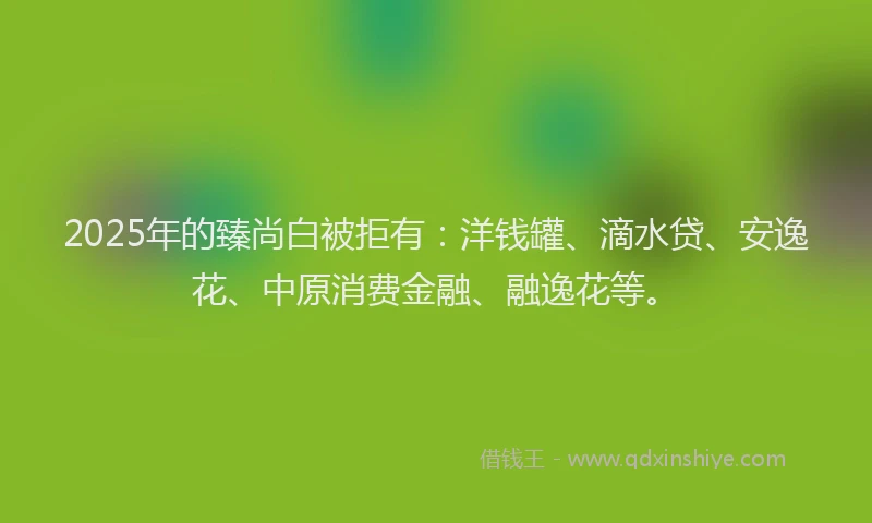 2025年的臻尚白被拒有：洋钱罐、滴水贷、安逸花、中原消费金融、融逸花等。