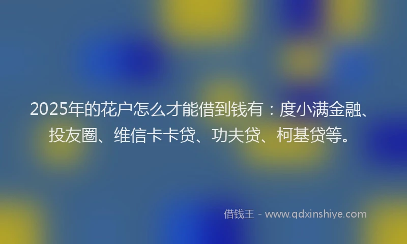 2025年的花户怎么才能借到钱有：度小满金融、投友圈、维信卡卡贷、功夫贷、柯基贷等。