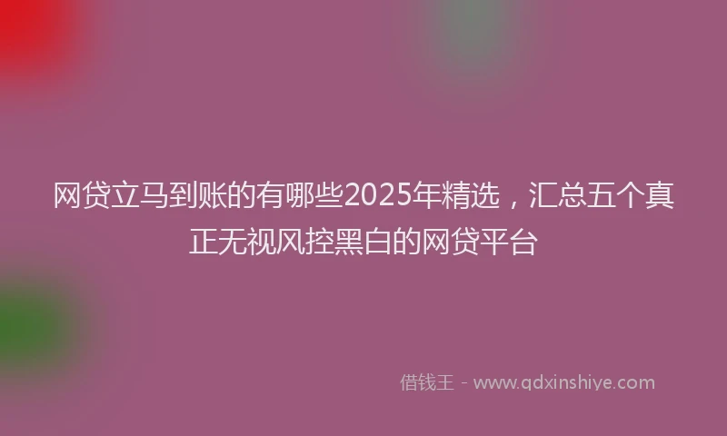 网贷立马到账的有哪些2025年精选，汇总五个真正无视风控黑白的网贷平台