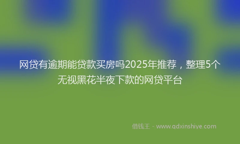 网贷有逾期能贷款买房吗2025年推荐，整理5个无视黑花半夜下款的网贷平台