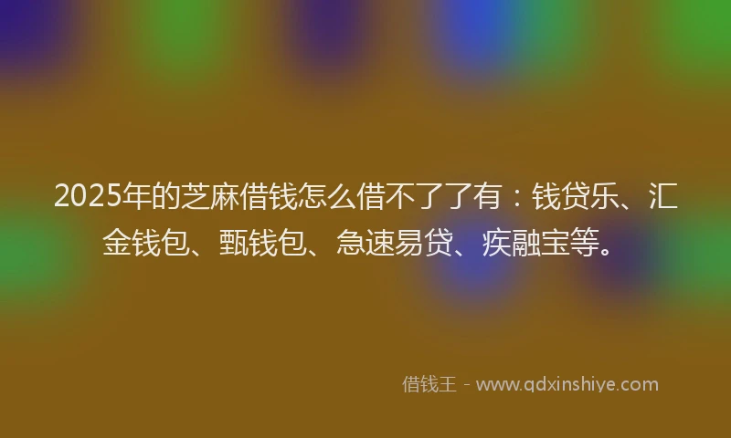 2025年的芝麻借钱怎么借不了了有：钱贷乐、汇金钱包、甄钱包、急速易贷、疾融宝等。