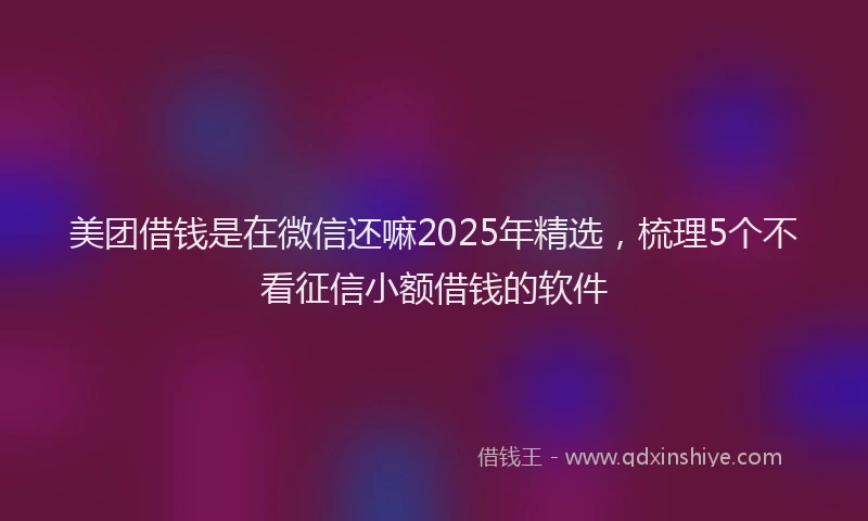 美团借钱是在微信还嘛2025年精选，梳理5个不看征信小额借钱的软件