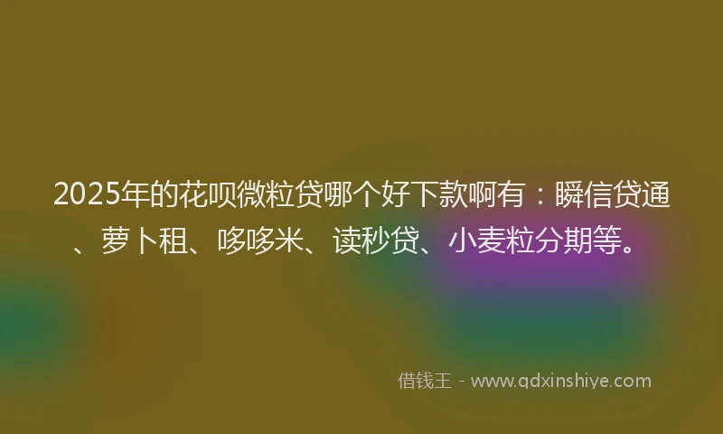 2025年的花呗微粒贷哪个好下款啊有：瞬信贷通、萝卜租、哆哆米、读秒贷、小麦粒分期等。