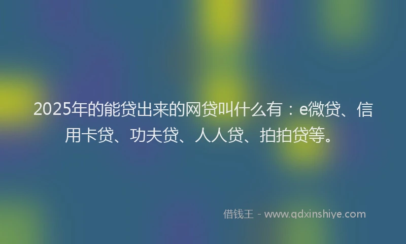 2025年的能贷出来的网贷叫什么有：e微贷、信用卡贷、功夫贷、人人贷、拍拍贷等。