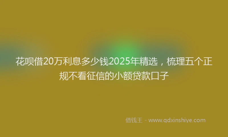 花呗借20万利息多少钱2025年精选，梳理五个正规不看征信的小额贷款口子