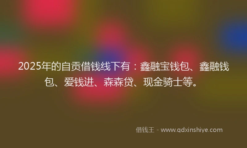 2025年的自贡借钱线下有：鑫融宝钱包、鑫融钱包、爱钱进、森森贷、现金骑士等。