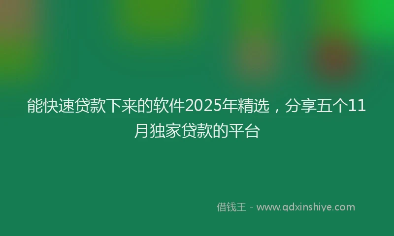 能快速贷款下来的软件2025年精选，分享五个11月独家贷款的平台
