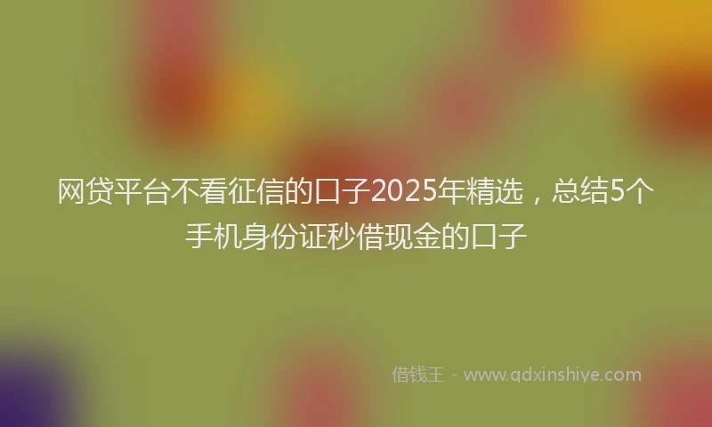 网贷平台不看征信的口子2025年精选，总结5个手机身份证秒借现金的口子
