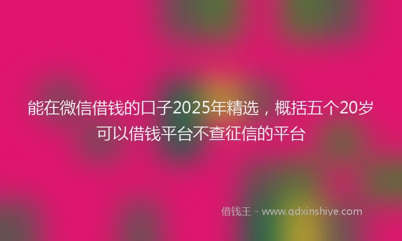 能在微信借钱的口子2025年精选，概括五个20岁可以借钱平台不查征信的平台