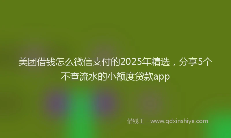 美团借钱怎么微信支付的2025年精选，分享5个不查流水的小额度贷款app