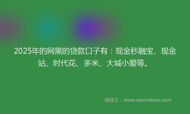 2025年的网黑的贷款口子有：现金秒融宝、现金站、时代花、多米、大城小爱等。