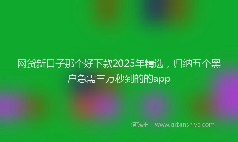 网贷新口子那个好下款2025年精选，归纳五个黑户急需三万秒到的的app