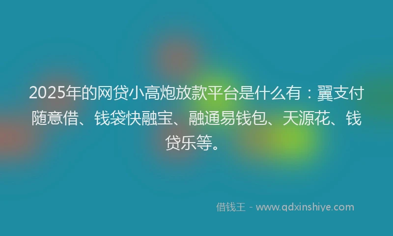 2025年的网贷小高炮放款平台是什么有：翼支付随意借、钱袋快融宝、融通易钱包、天源花、钱贷乐等。