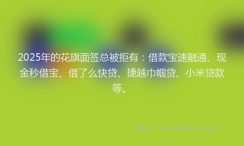 2025年的花旗面签总被拒有：借款宝速融通、现金秒借宝、借了么快贷、捷越巾帼贷、小米贷款等。