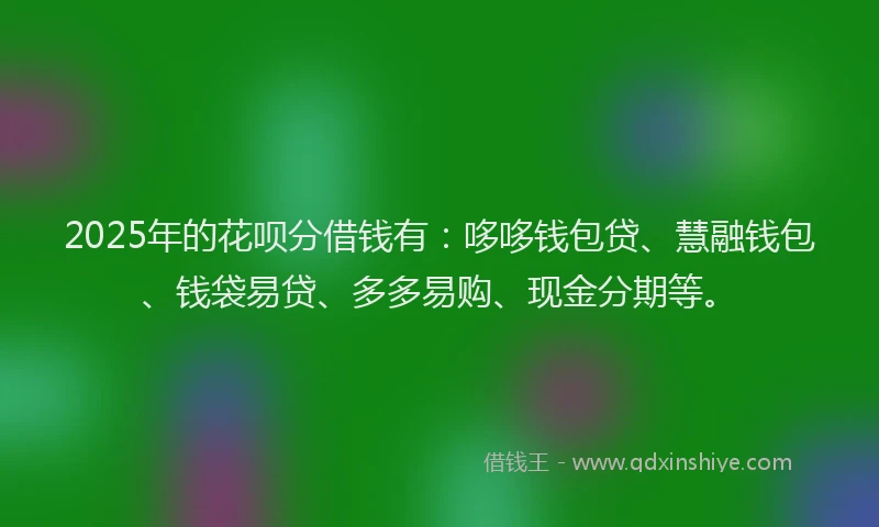 2025年的花呗分借钱有：哆哆钱包贷、慧融钱包、钱袋易贷、多多易购、现金分期等。