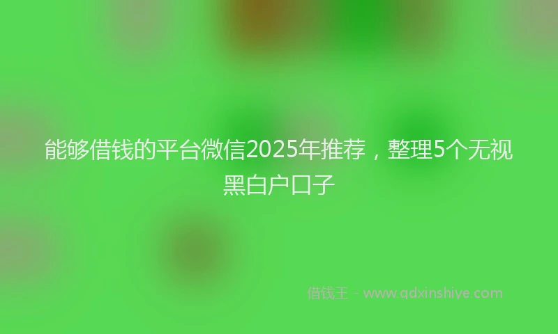 能够借钱的平台微信2025年推荐，整理5个无视黑白户口子