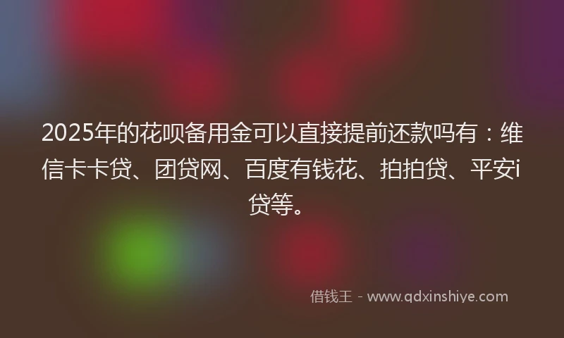 2025年的花呗备用金可以直接提前还款吗有：维信卡卡贷、团贷网、百度有钱花、拍拍贷、平安i贷等。