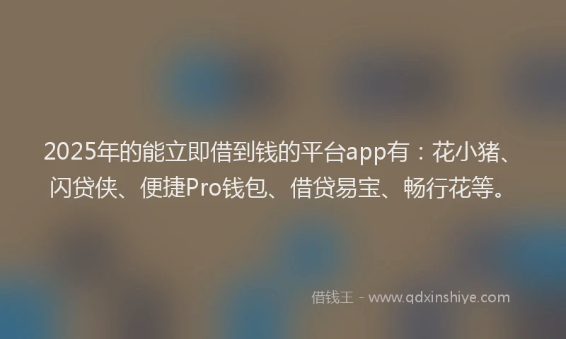 2025年的能立即借到钱的平台app有：花小猪、闪贷侠、便捷Pro钱包、借贷易宝、畅行花等。