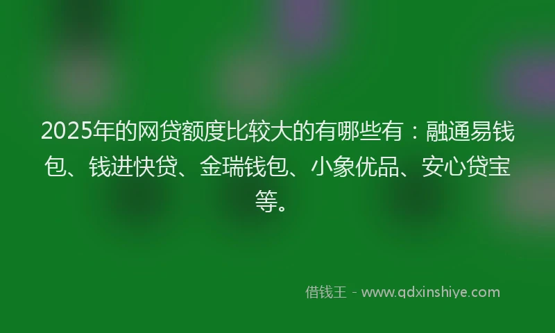 2025年的网贷额度比较大的有哪些有：融通易钱包、钱进快贷、金瑞钱包、小象优品、安心贷宝等。