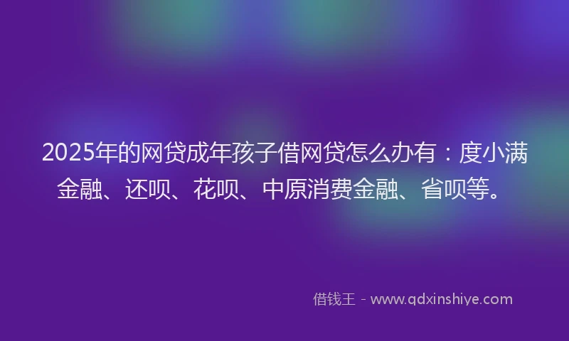 2025年的网贷成年孩子借网贷怎么办有：度小满金融、还呗、花呗、中原消费金融、省呗等。