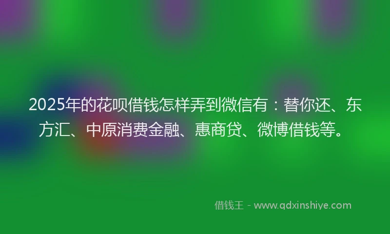 2025年的花呗借钱怎样弄到微信有：替你还、东方汇、中原消费金融、惠商贷、微博借钱等。