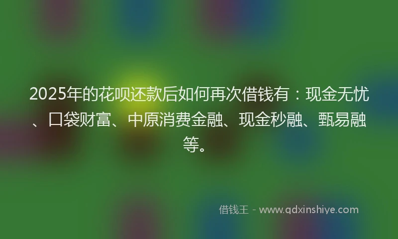 2025年的花呗还款后如何再次借钱有：现金无忧、口袋财富、中原消费金融、现金秒融、甄易融等。
