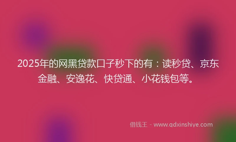 2025年的网黑贷款口子秒下的有：读秒贷、京东金融、安逸花、快贷通、小花钱包等。