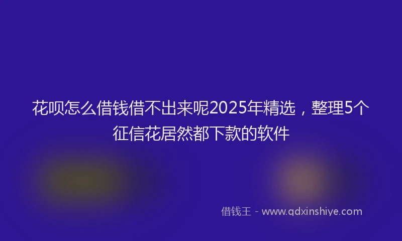 花呗怎么借钱借不出来呢2025年精选，整理5个征信花居然都下款的软件