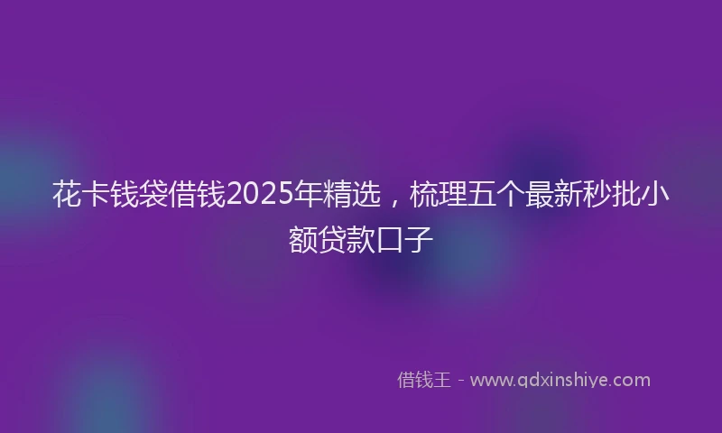 花卡钱袋借钱2025年精选，梳理五个最新秒批小额贷款口子