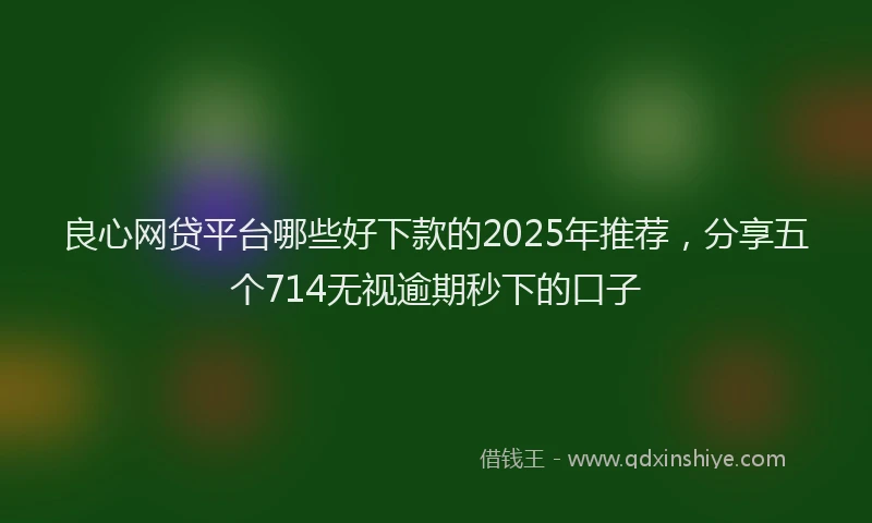 良心网贷平台哪些好下款的2025年推荐，分享五个714无视逾期秒下的口子