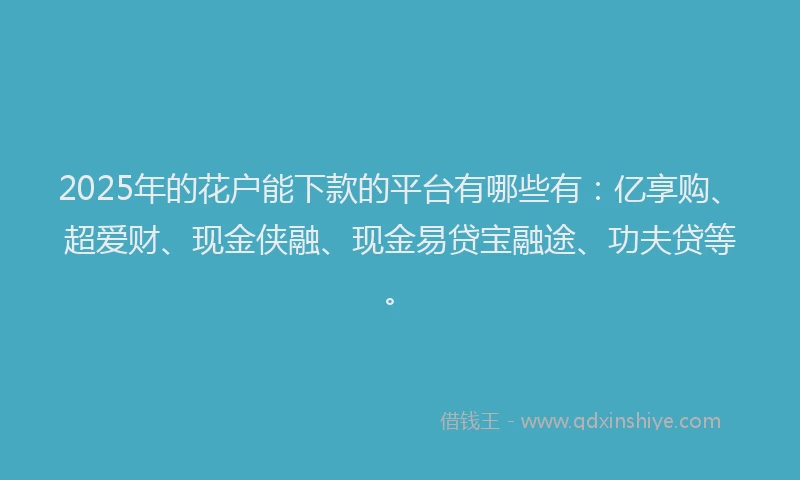2025年的花户能下款的平台有哪些有：亿享购、超爱财、现金侠融、现金易贷宝融途、功夫贷等。