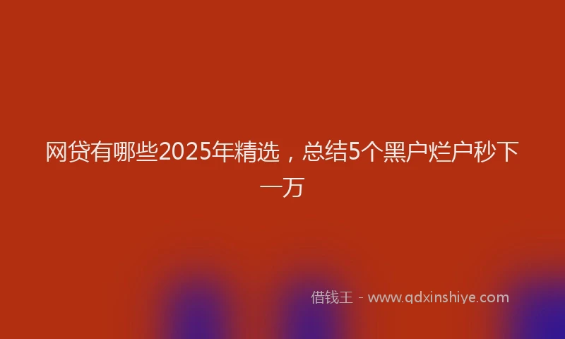 网贷有哪些2025年精选，总结5个黑户烂户秒下一万
