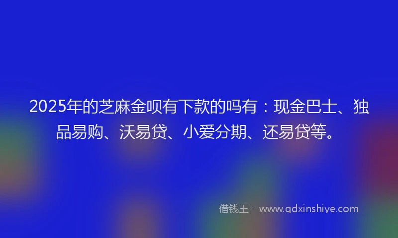 2025年的芝麻金呗有下款的吗有：现金巴士、独品易购、沃易贷、小爱分期、还易贷等。