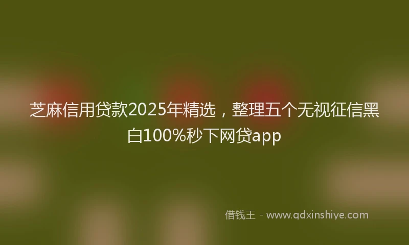 芝麻信用贷款2025年精选，整理五个无视征信黑白100%秒下网贷app
